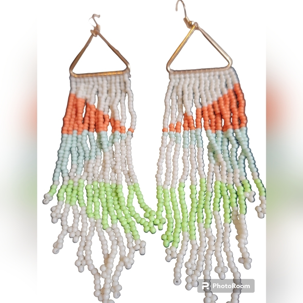 Beaded Fringe  Earrings